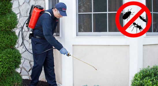 Saraykent Pire İlaçlama böcek ilaçlama ve haşere kontrolü — ilaclama-tr.com